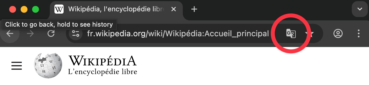 Google Chrome translate icon